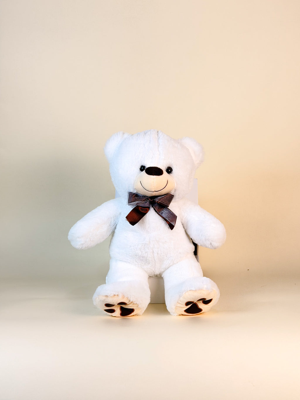 Oso de Peluche Blanco Chico