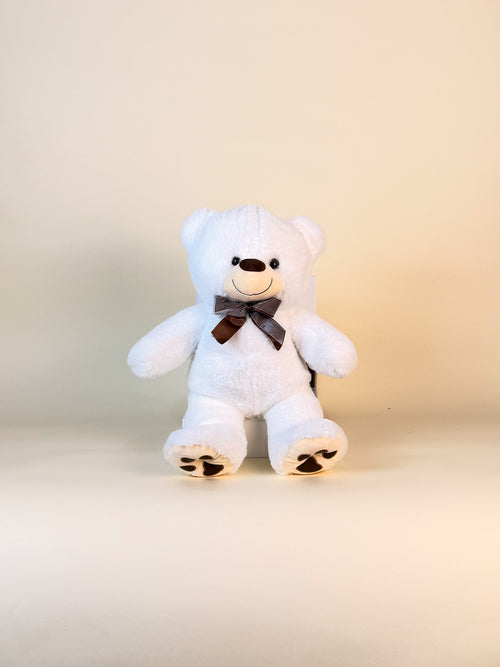 Oso de Peluche Blanco Chico