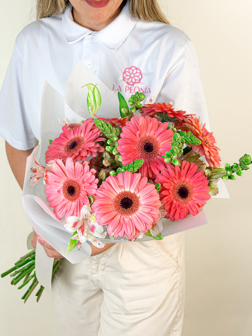 Dulce Gerbera