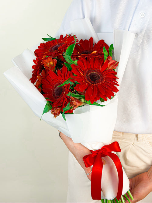 Gerbera Pasión