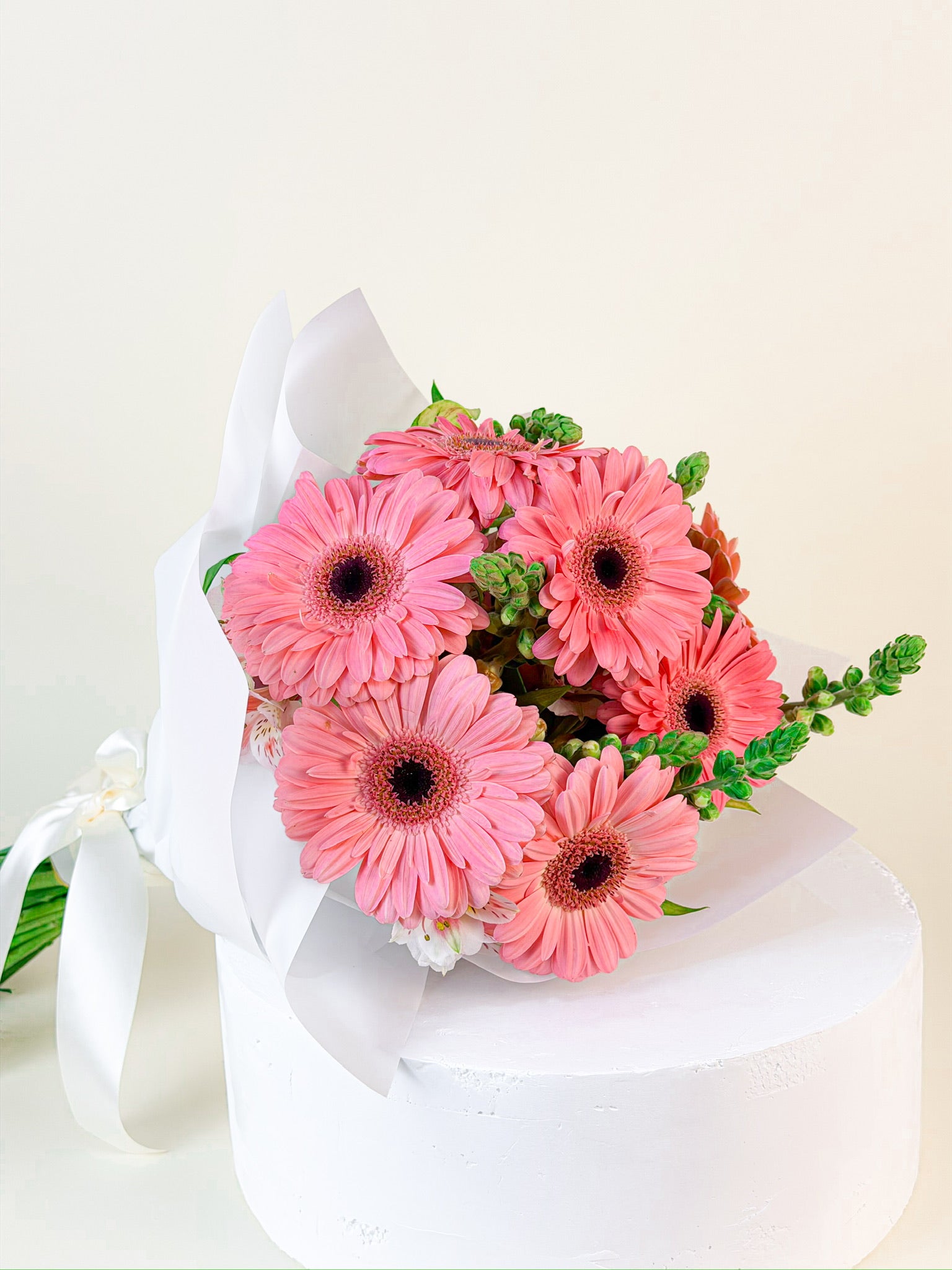 Dulce Gerbera