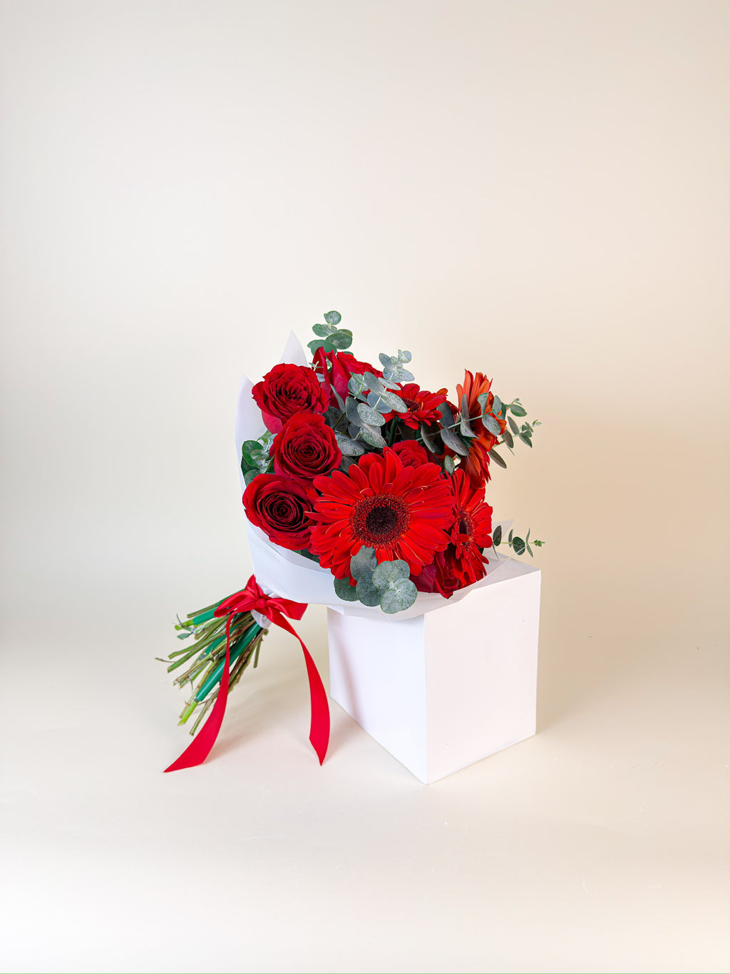 Rojo Alegre