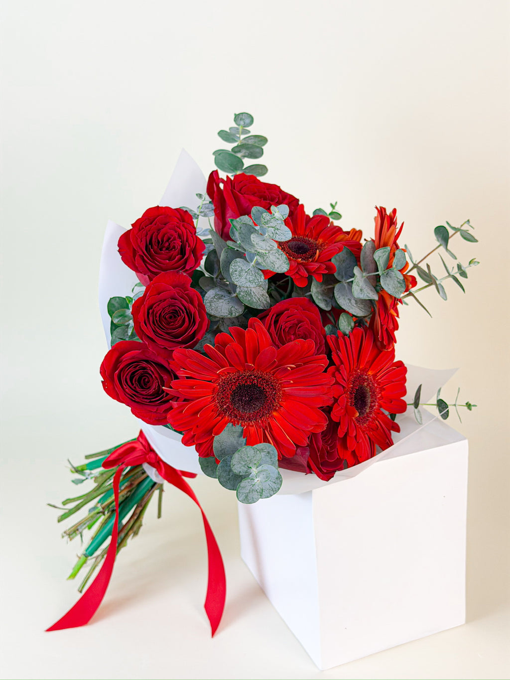 Rojo Alegre