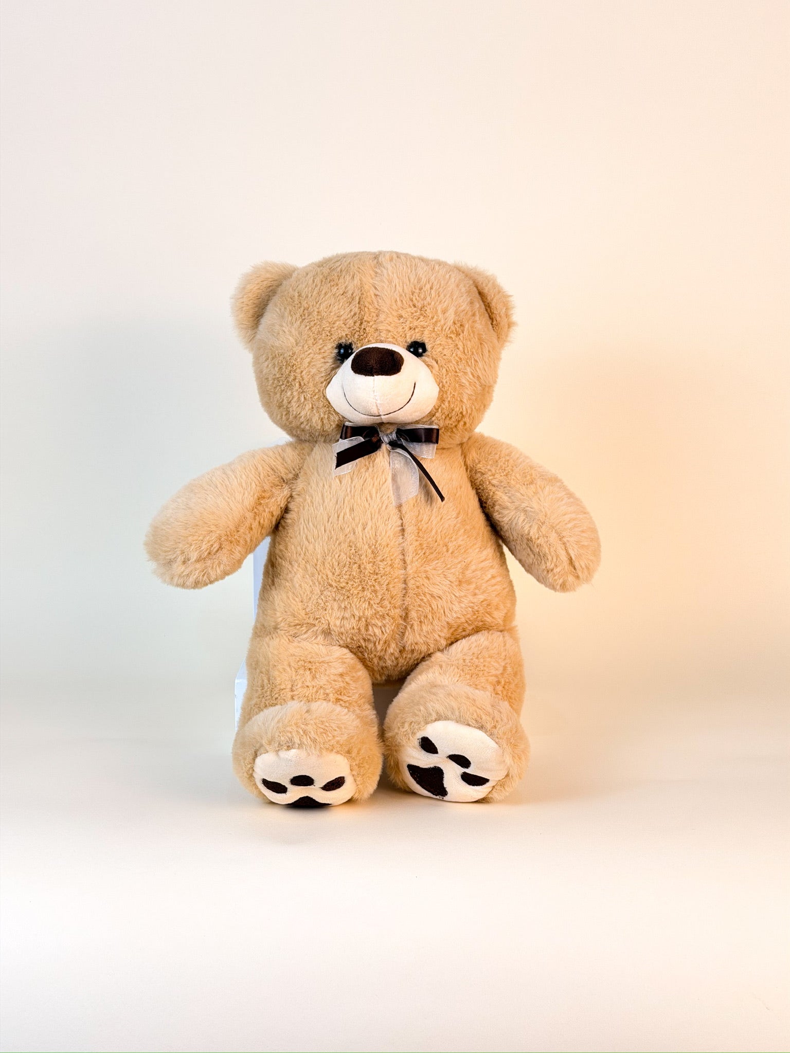 Oso de peluche chico beige